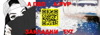 гашик Можга