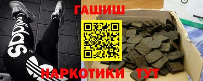 гашик Можга