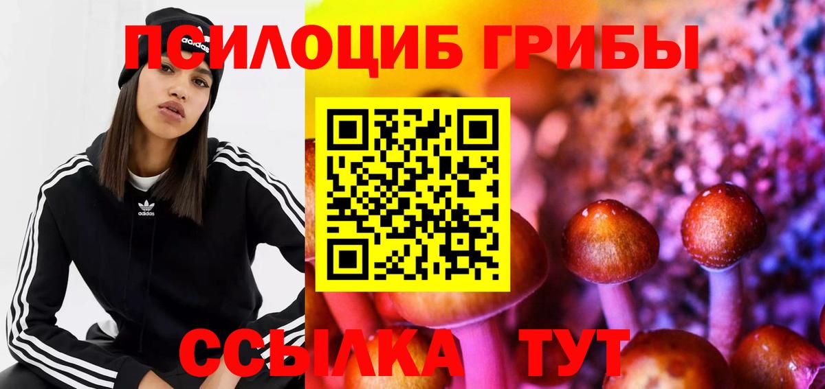 Приморско-Ахтарск  Псилоцибиновые грибы ЛСД  Вход с VPN 